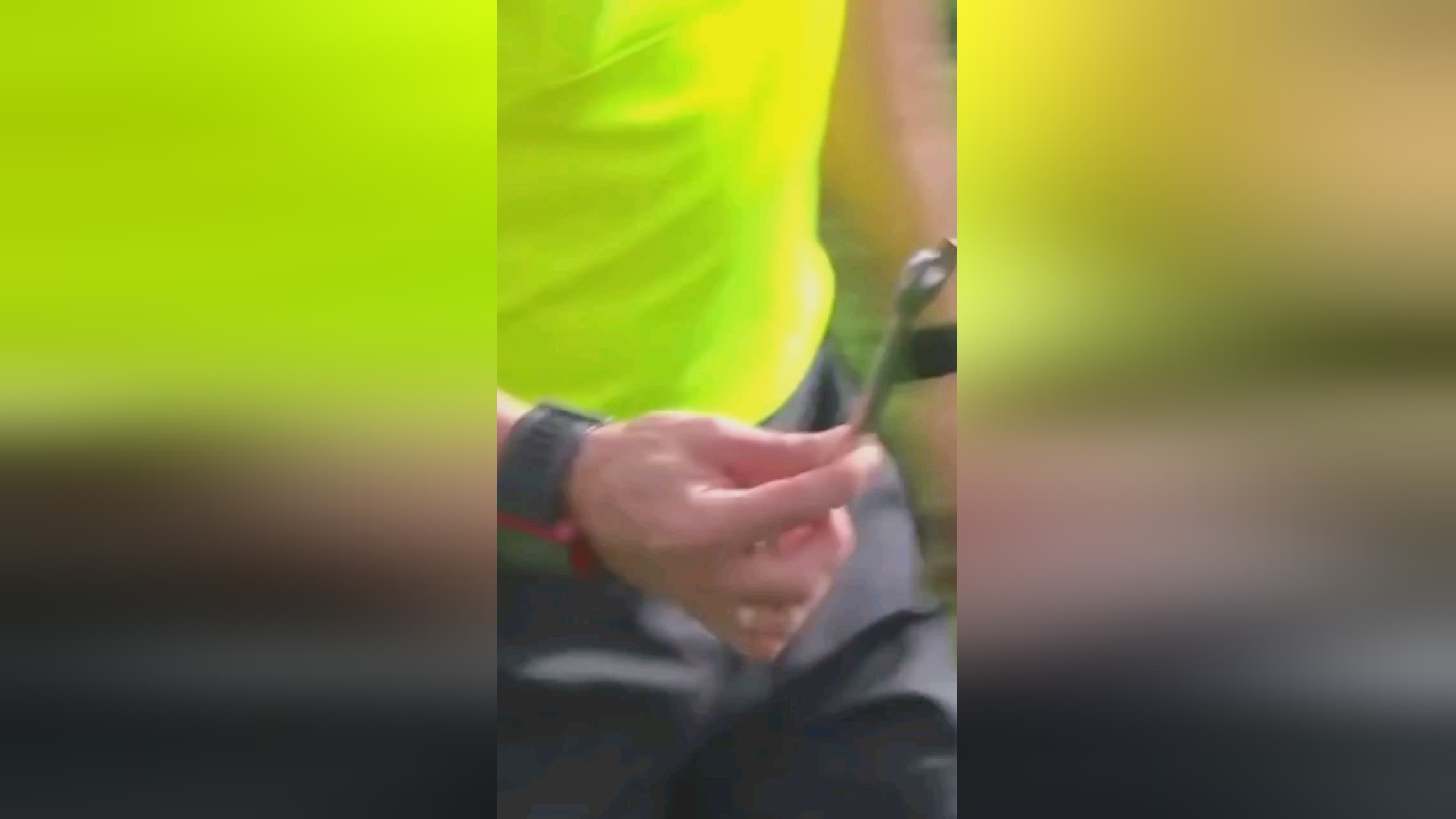 相信山东泰